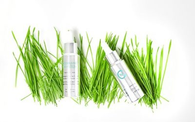 El poder de las algas marinas